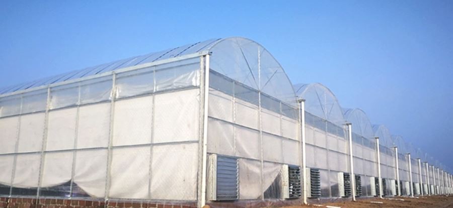 heavy duty greenhouse covers factory