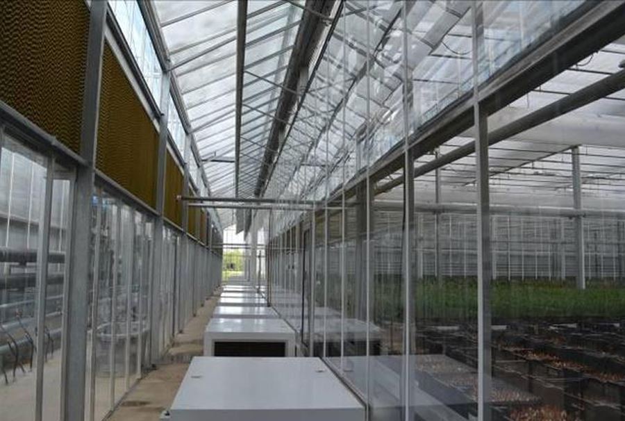 glass greenhouse Canada glass greenhouse Canada