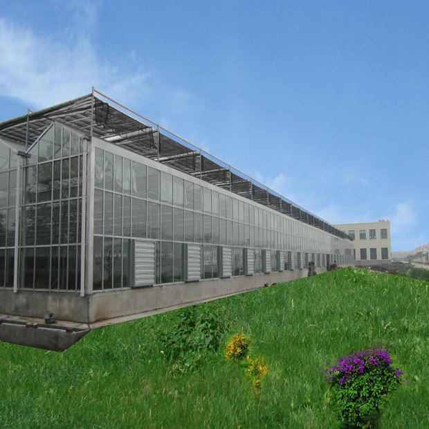 Agricultural Glass Greenhouse Agricultural Glass Greenhouse
