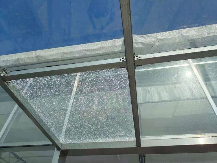 guidelines for use of greenhouses guidelines for use of greenhouses