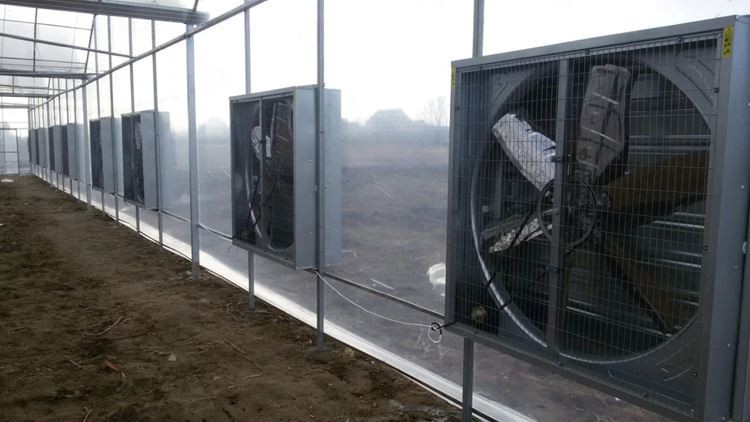 vegetable greenhouses vegetable greenhouses