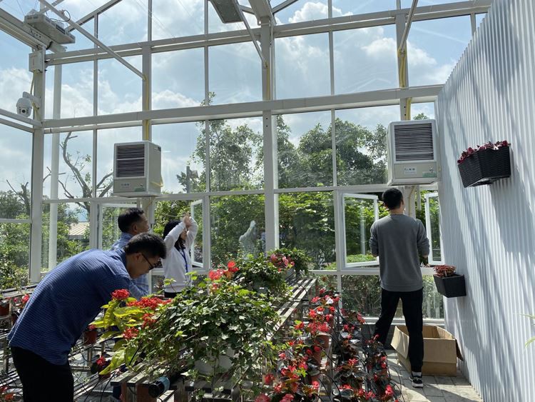 Construction technology structure of multi-span plastic greenhouse Construction technology structure of multi-span plastic greenhouse