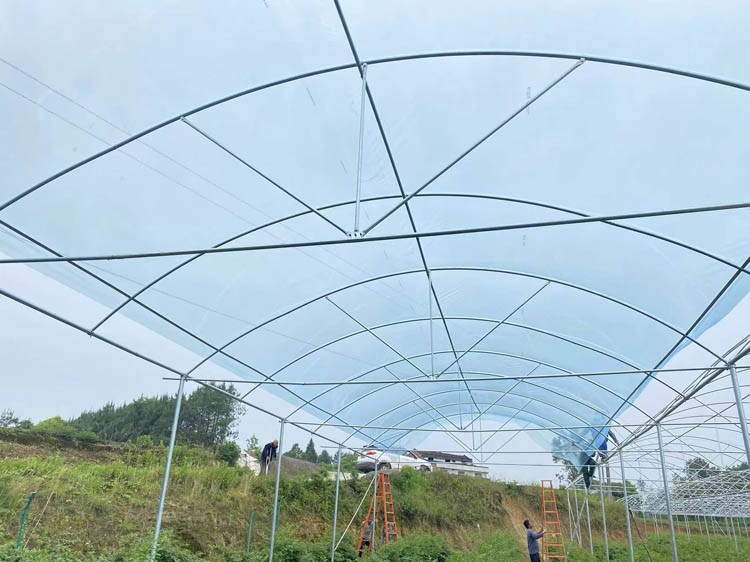 plastic film for greenhouses plastic film for greenhouses