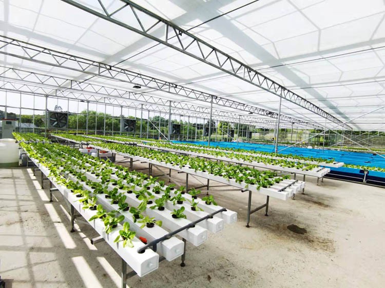 Greenhouse Install