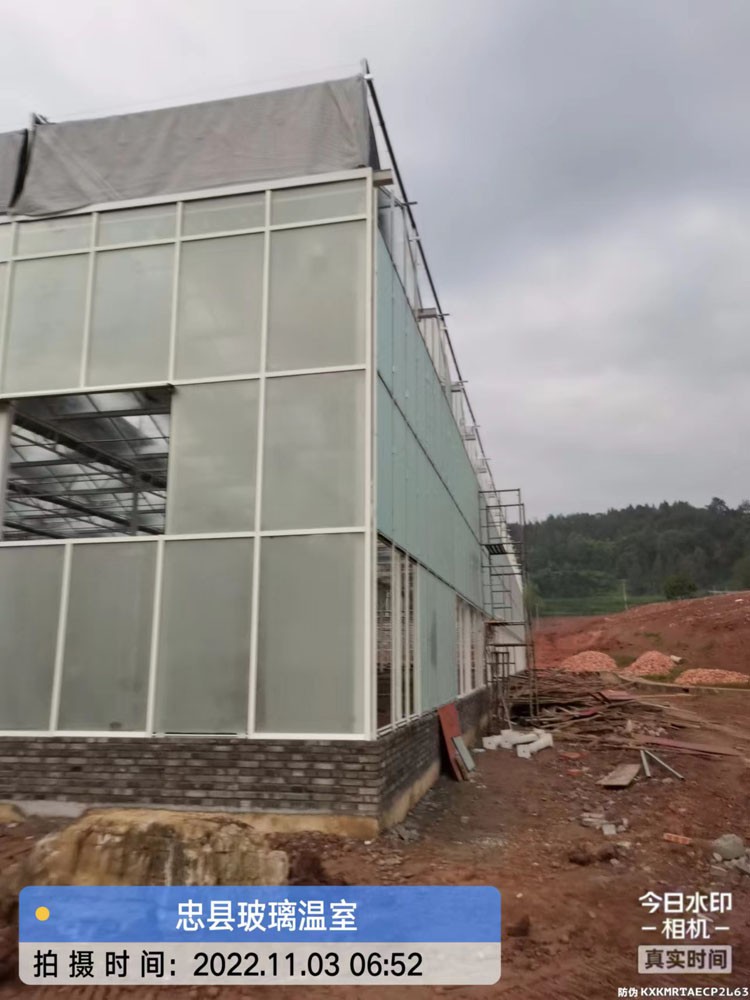 Reasons and Remedial Measures of Phytochemical Injury in Greenhouses of Vegetables Reasons and Remedial Measures of Phytochemical Injury in Greenhouses of Vegetables