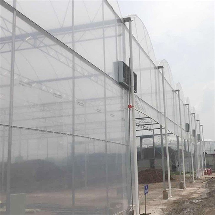 greenhouse plastic home depot factory