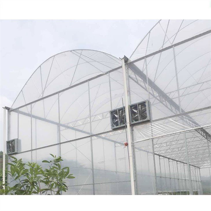 greenhouse plastic home depot manufacture