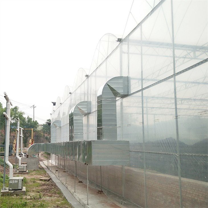greenhouse plastic home depot supplier